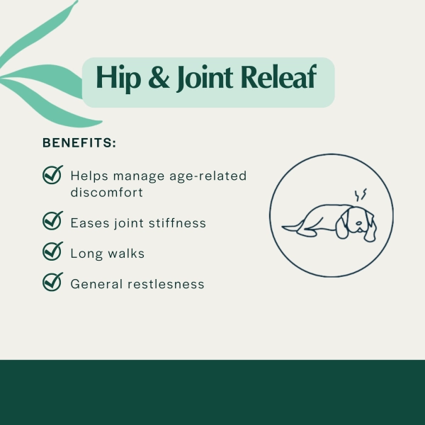 Pet Releaf Hip & Joint Releaf 600mg Hemp Oil for Dogs