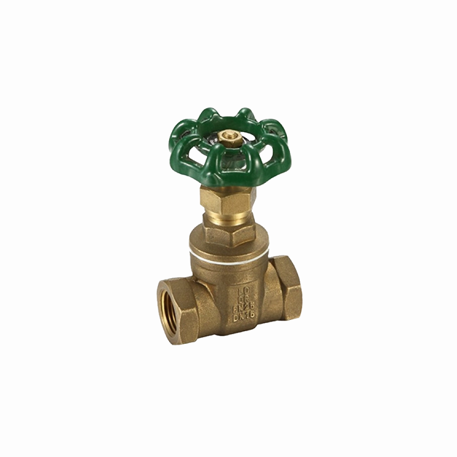 Promax Gate Valve 80mm