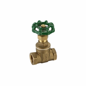 Promax Gate Valve 80mm