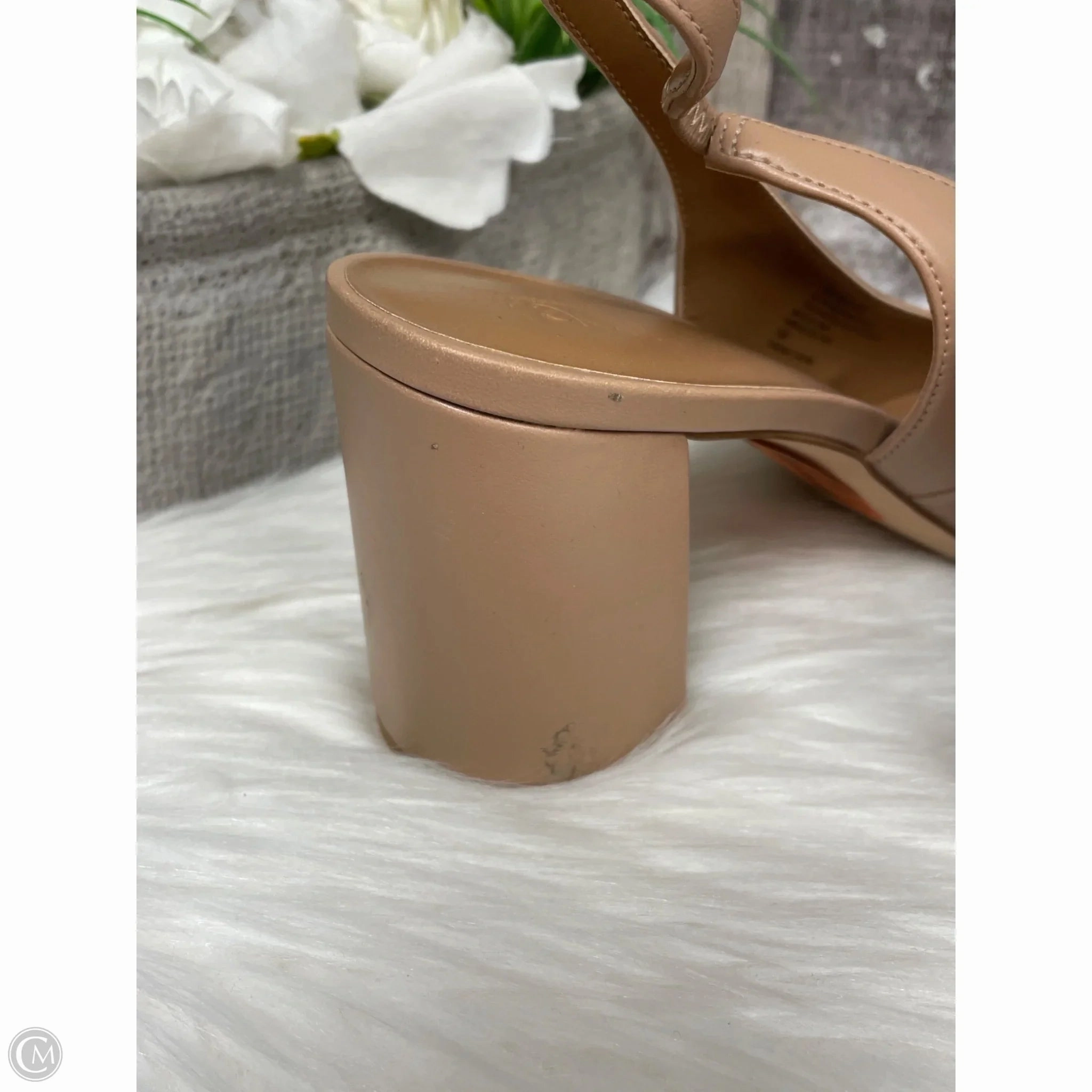 Shoes Heels Block By Nordstrom In Tan, Size: 10