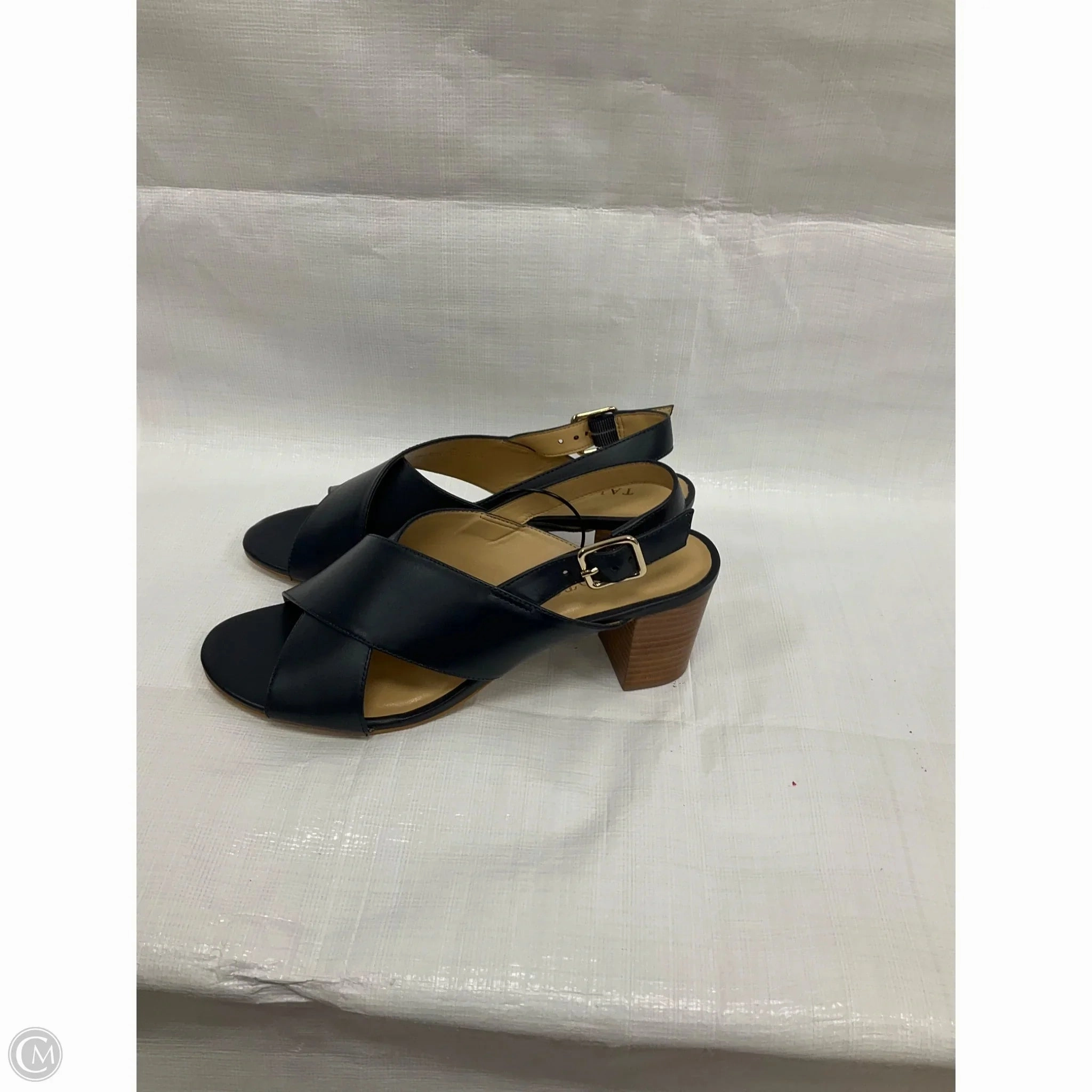 Shoes Heels Kitten By Talbots In Navy, Size: 8
